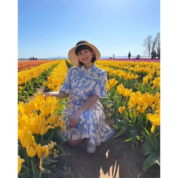 DIANE VON FURSTENBERG Blue Printed Shift Shirt Collar Neck Beata Dress Size 2 - Picture 11 of 12